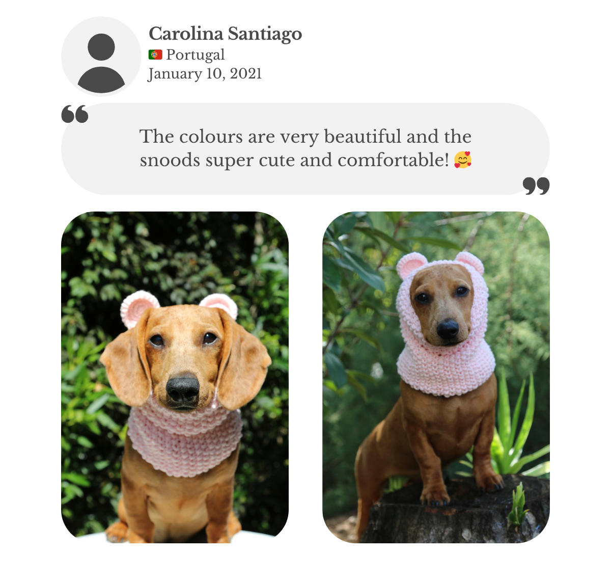 Customer testimonial from Carolina: her miniature dachshund wears a hand-knitted snood with bear ears from Lana Royals Pet Wear. She praises the beautiful colors, and says the snood is super cute and comfortable.