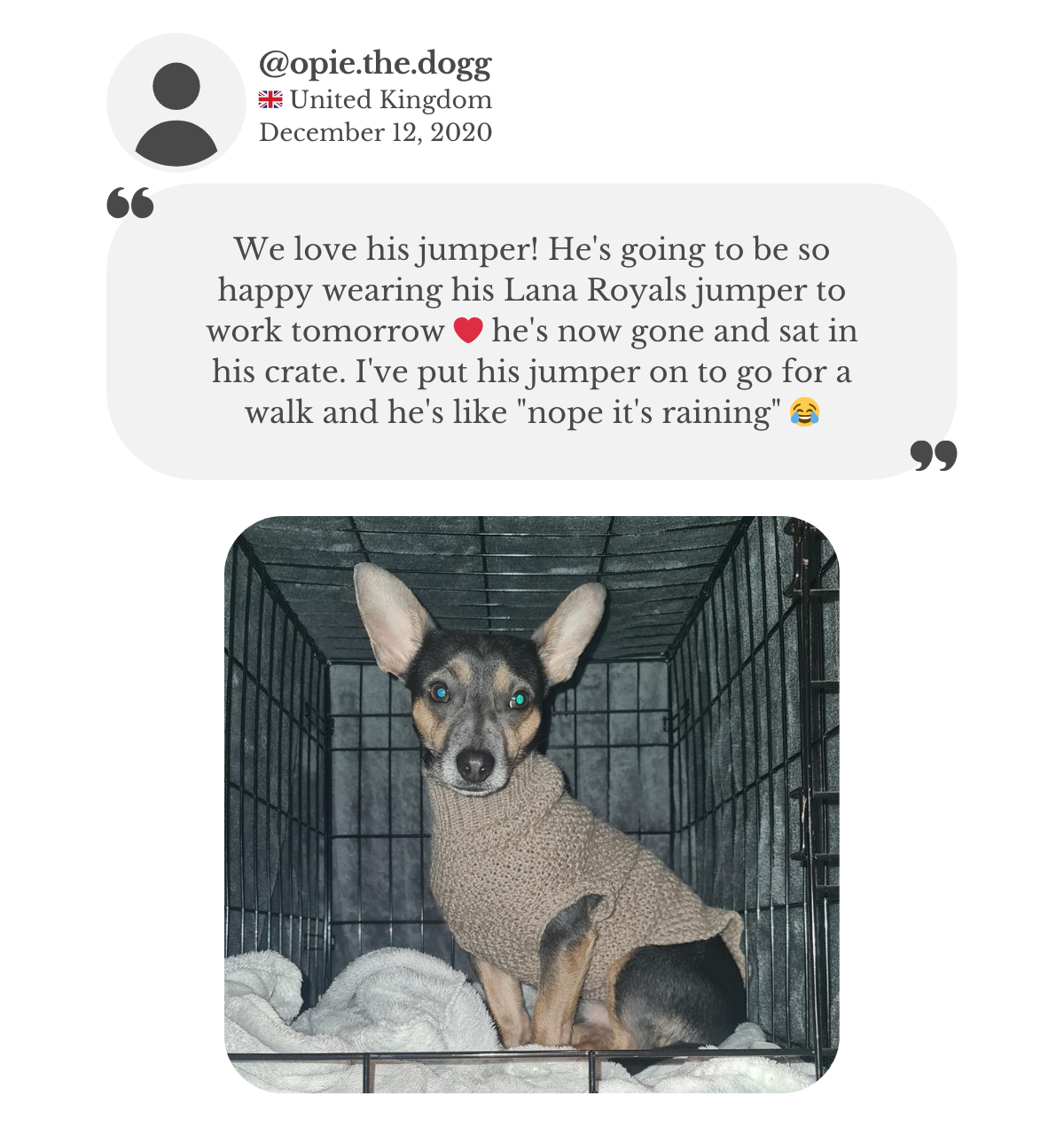 Customer testimonial: dog wearing a beige alpaca wool hand-knitted sweater from Lana Royals Pet Wear, and both owner and dog love the new jumper.