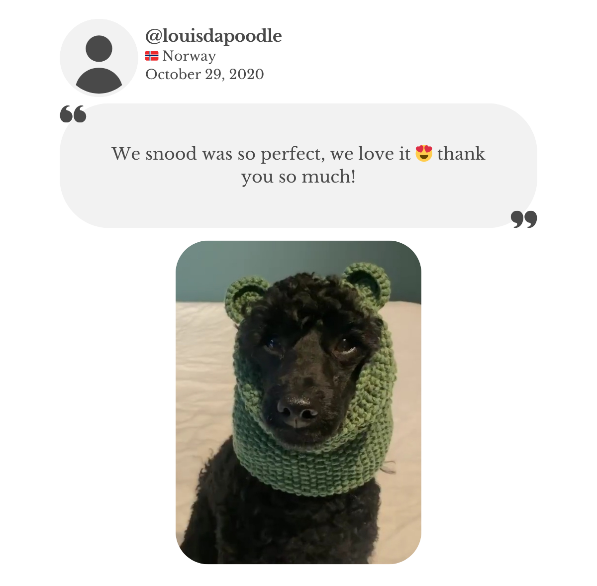 Poodle wearing custom hand-knitted snood with crochet bear ears. Customer thanking for the perfect snood.