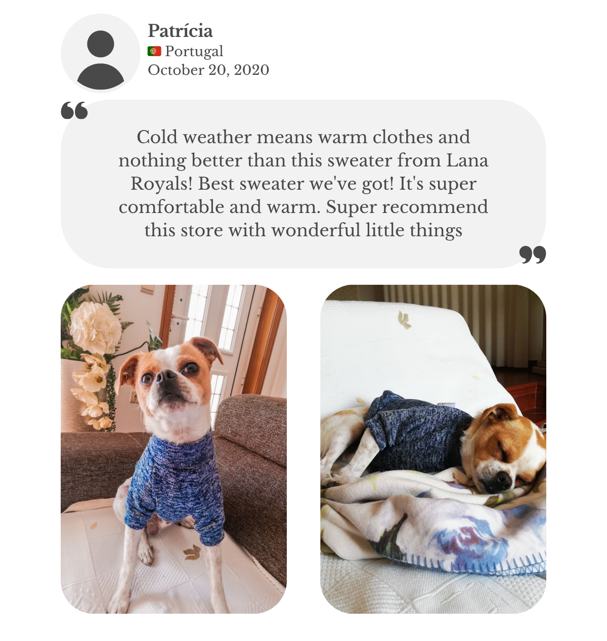 Customer testimonial from Patricia: her dog wears a handmade blue jumper from Lana Royals Pet Wear. She says it’s the best sweater they’ve ever had and highly recommends it.