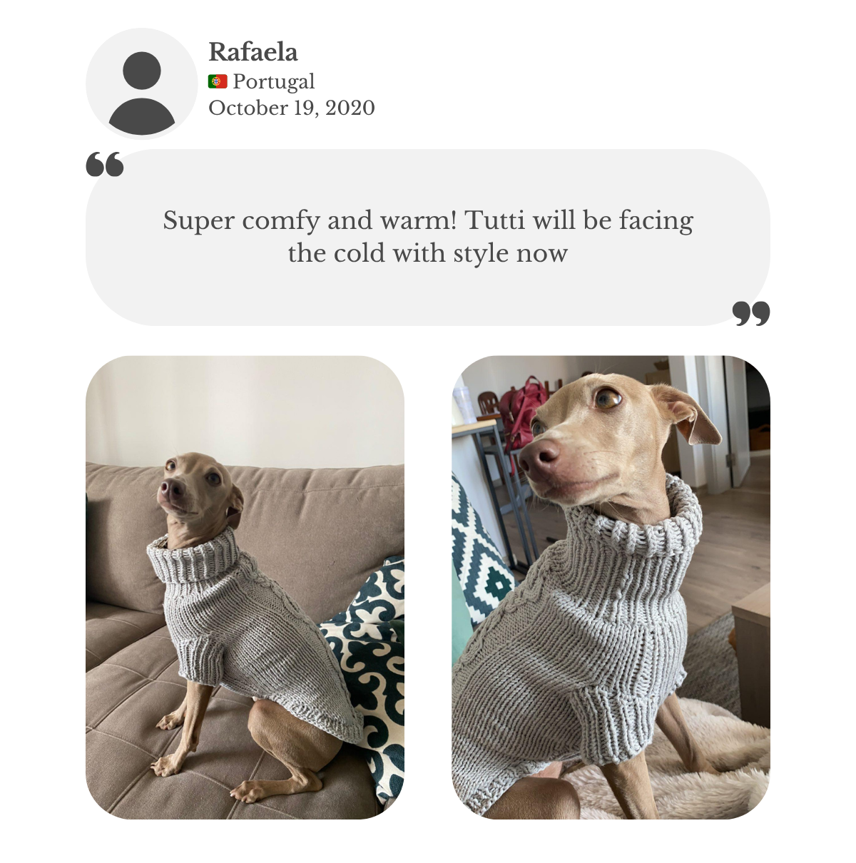 Italian Greyhound wearing a handmade grey cotton sweater from Lana Royals Pet Wear, super comfy and warm, keeping stylish in the cold.