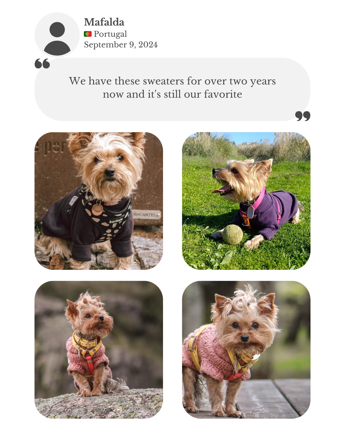 Yorkshire terriers wearing a dark purple cotton sweatshirt jumper and a knitted pink sweater from Lana Royals Pet Wear. Customer testimonial from Mafalda, saying they’ve had these sweaters for over two years and they’re still their favorites.