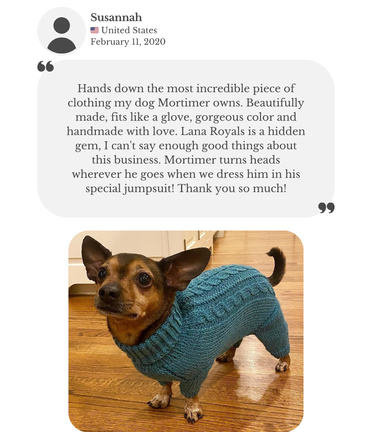Chihuahua dachshund cross dog wearing hand-knitted custom-made to measure 'PRIMUS' alpaca wool jumpsuit overall. Susannah remarks it's the most incredible piece of clothing her dog Mortimer owns. It's beautifully made, fits like a glove and has a gorgeous teal color. According to her words, Lana Royals is a hidden gem; Mortimer turns heads wherever he goes when he's in his special jumpsuit.