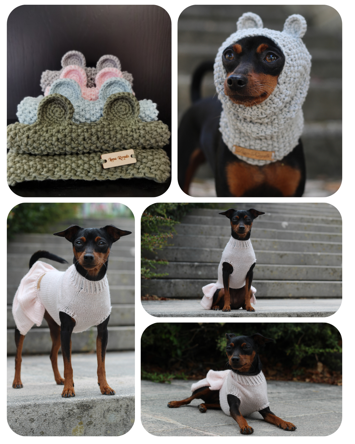 Photo collage of a Miniature Pinscher wearing a grey ‘Cuddlebear’ cotton hand-knitted snood, and a baby merino wool hand-knitted dress, both from Lana Royals Pet Wear.