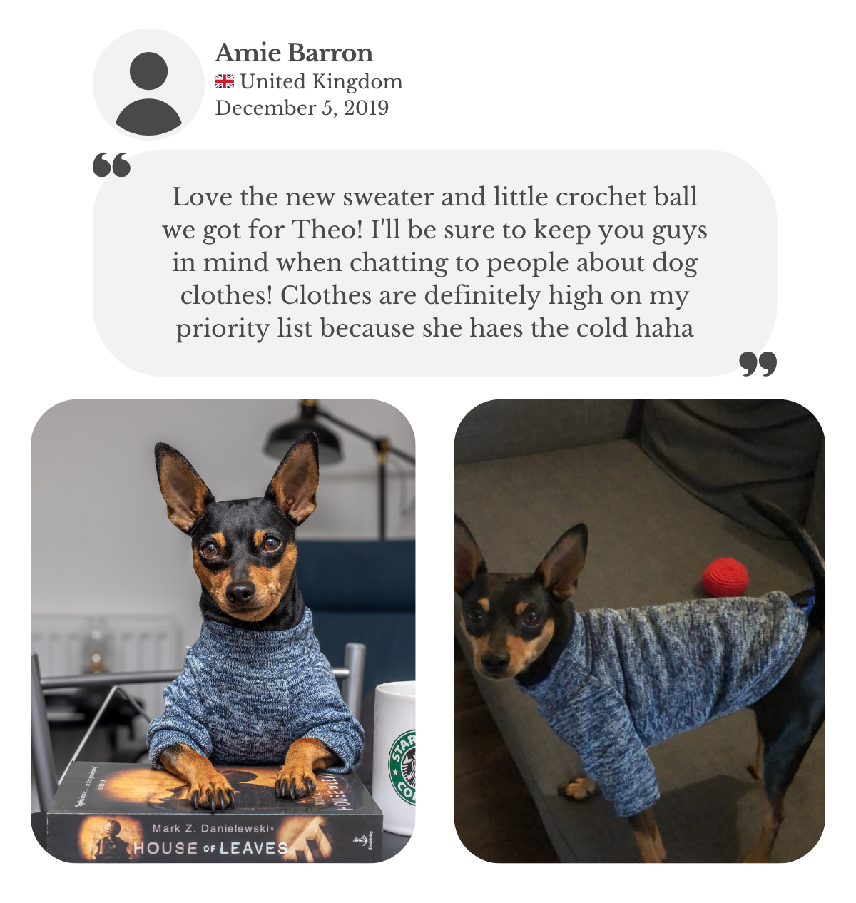Customer review from Amie: Miniature Pinscher wearing a merle blue polar jumper with raglan sleeves and playing with a crochet ball. She says she loves the new sweater and toy, and will be telling everyone about it.