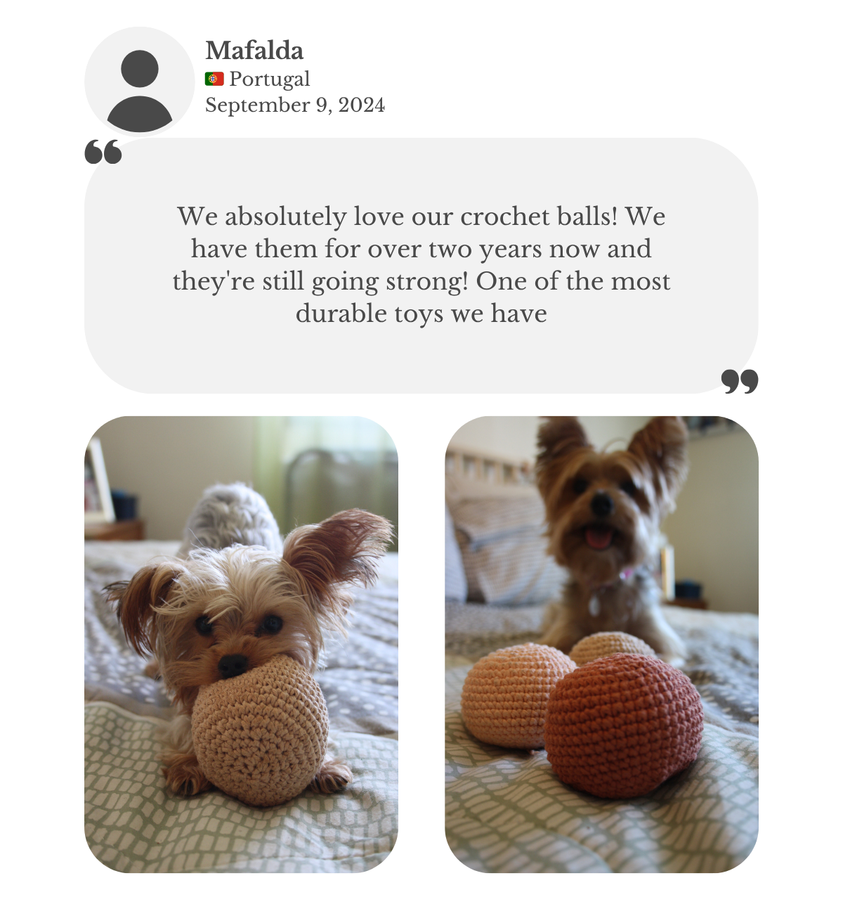 Customer testimonial: Yorkshire Terriers playing with handmade crochet balls from Lana Royals Pet Wear, praised as one of their most durable toys after over 2 years of use.