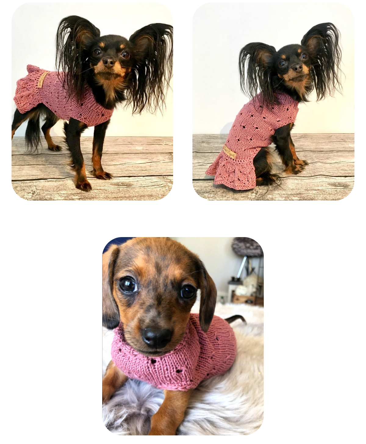 Photos of a Russian Toy Terrier wearing a hand-knitted pink cotton dress and a miniature dachshund puppy wearing a hand-knitted pink cotton jumper, both custom-made to measure by Lana Royals Pet Wear.