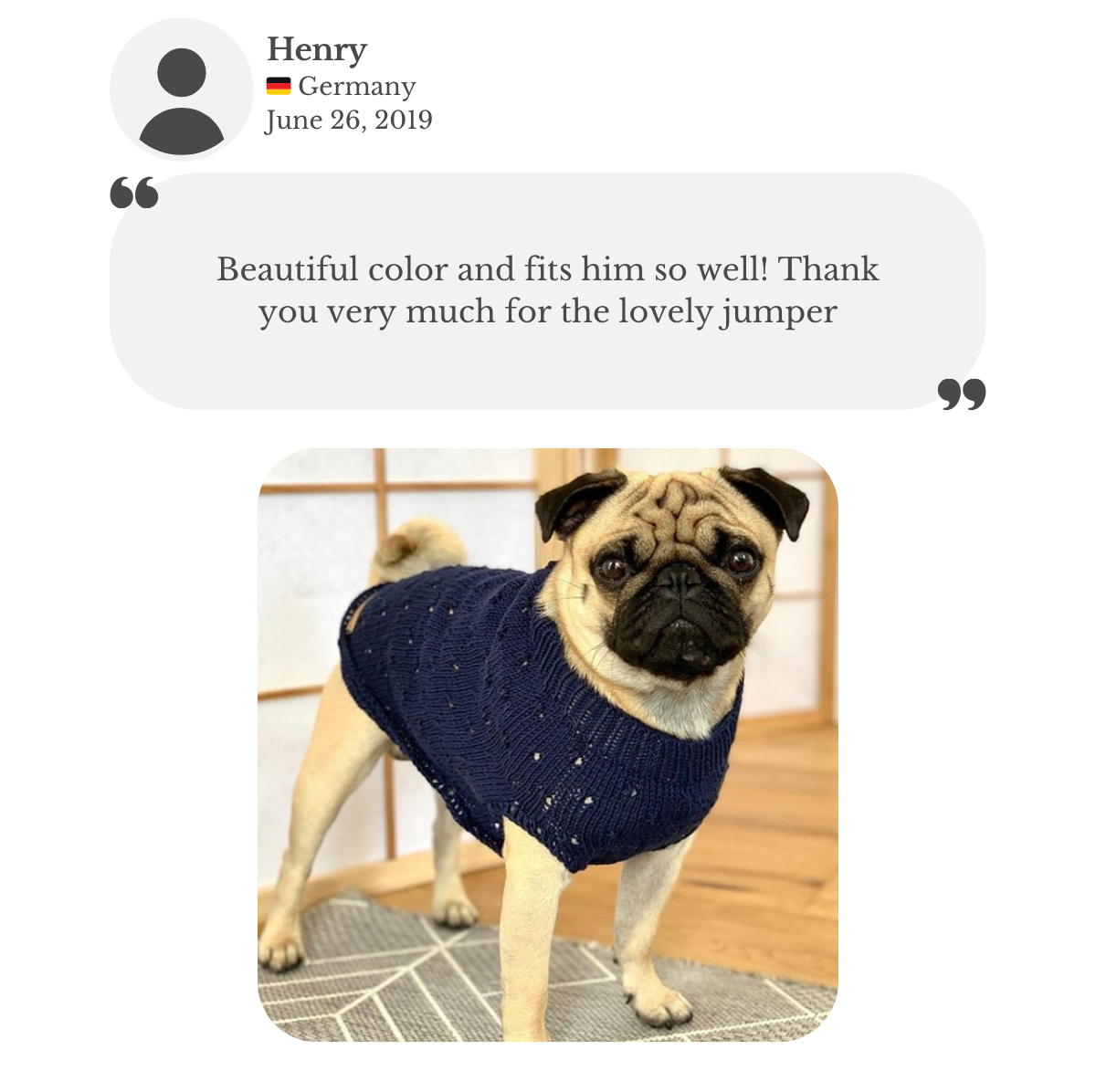 Customer testimonial from Henry: his pug wears a hand-knitted cotton jumper from Lana Royals Pet Wear. He praises the beautiful color and perfect fit.