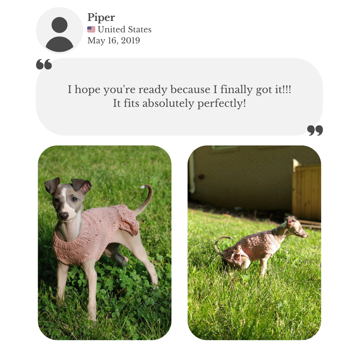 Italian greyhound puppy wearing a hand-knitted cotton dress in light pink, custom-tailored to measure by Lana Royals Pet Wear. Customer testimonial says the dress fits perfectly.