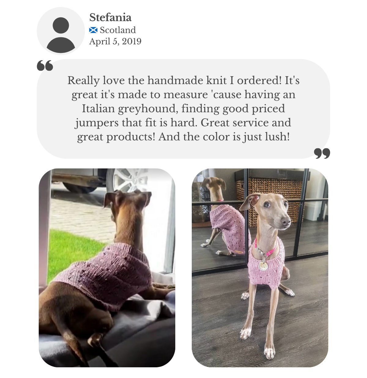 Italian Greyhound wearing a hand-knitted pink cotton jumper from Lana Royals Pet Wear. Customer testimonial from Stefanie, praising the handmade knit, lush color, and made-to-measure fit. She shares how hard it is to find jumpers that fit her hound, and commends the great service and high-quality products.