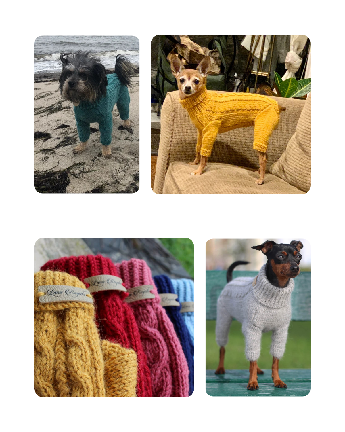 Customer dogs showing off their custom Lana Royals Pet Wear handmade alpaca wool sweaters in different lifestyle settings.