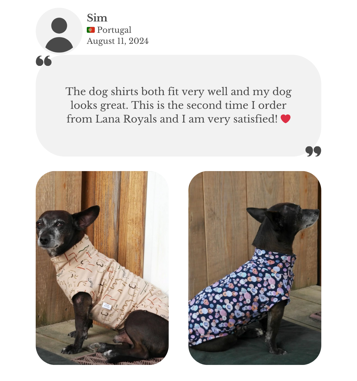 Customer testimonial from Sim: dog wearing patterned cotton shirts from Lana Royals Pet Wear, both fitting perfectly and looking great. It’s his second order and he is very satisfied.