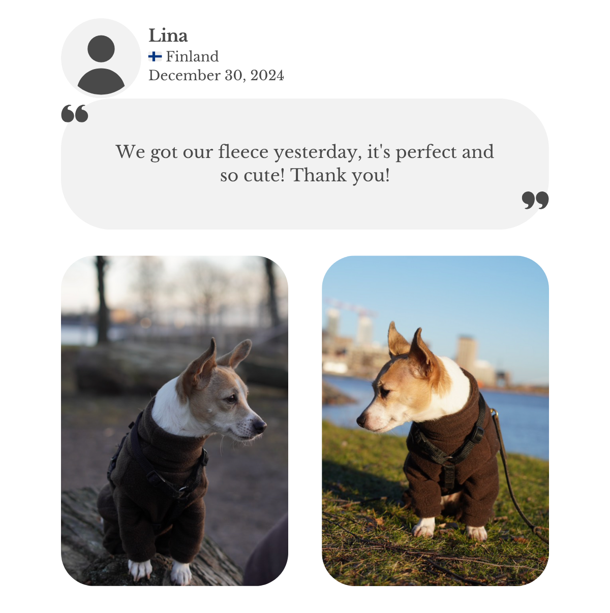 Jack Russell terrier wearing custom made to measure brown polar fleece jumpsuit. Handmade my Lana Royals Pet Wear. Lina thanking how perfect the onesie is on her dog.