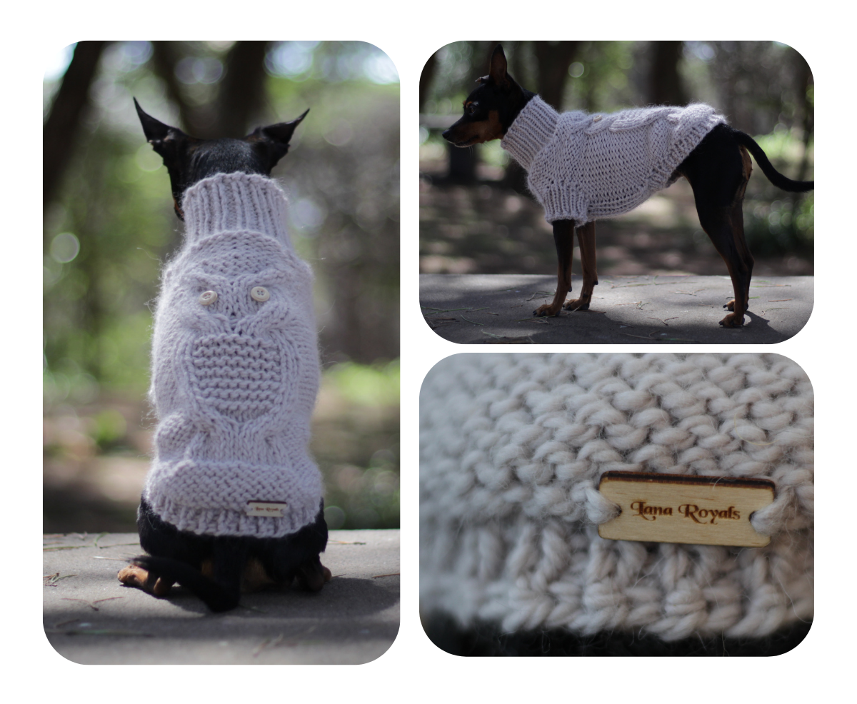 Prague Ratter wearing a hand-knitted alpaca wool sweater with an owl design, custom made by Lana Royals Pet Wear.