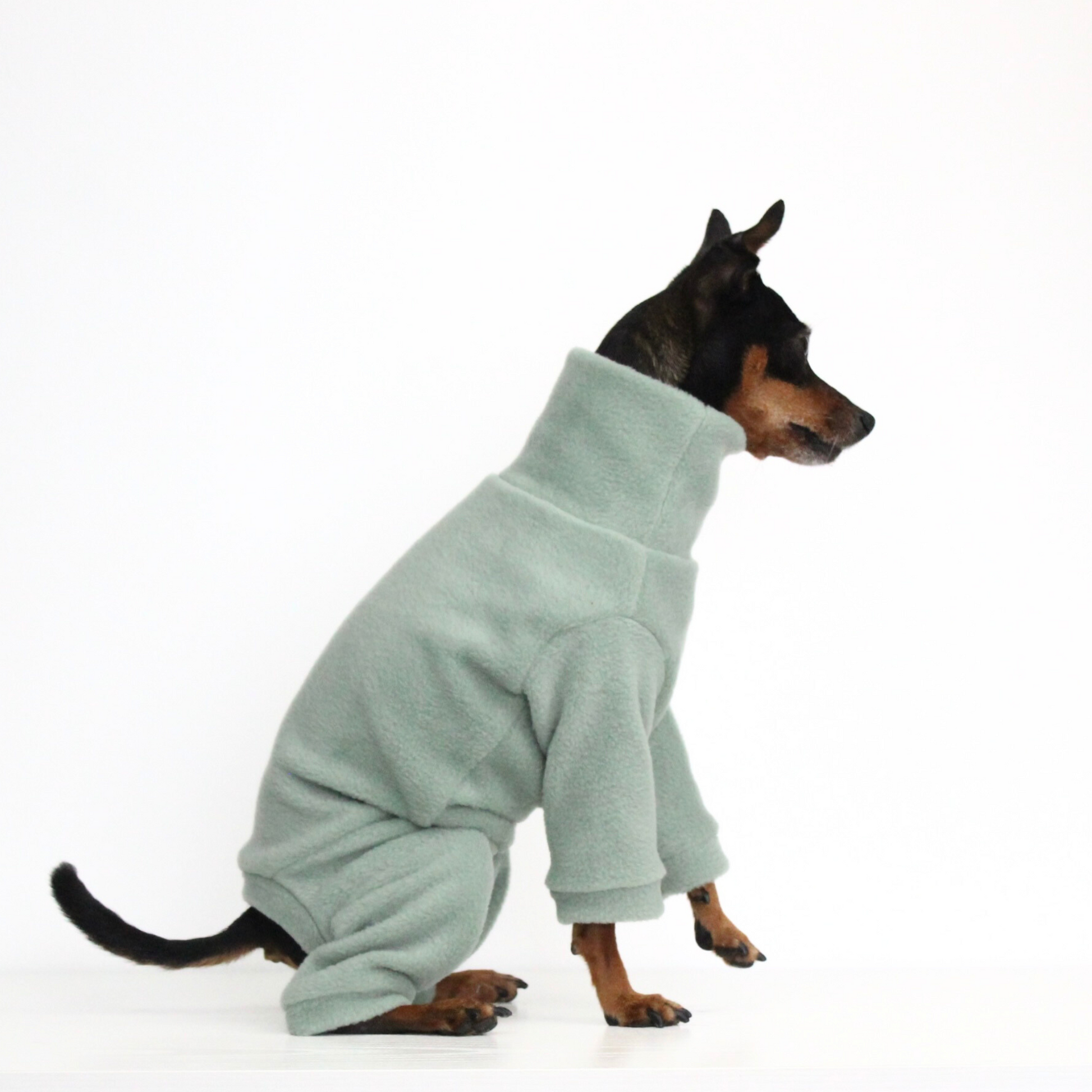 Miniature pinscher wearing a handmade light green aqua fleece jumpsuit onesie, custom-tailored pajamas overall from Lana Royals Pet Wear.