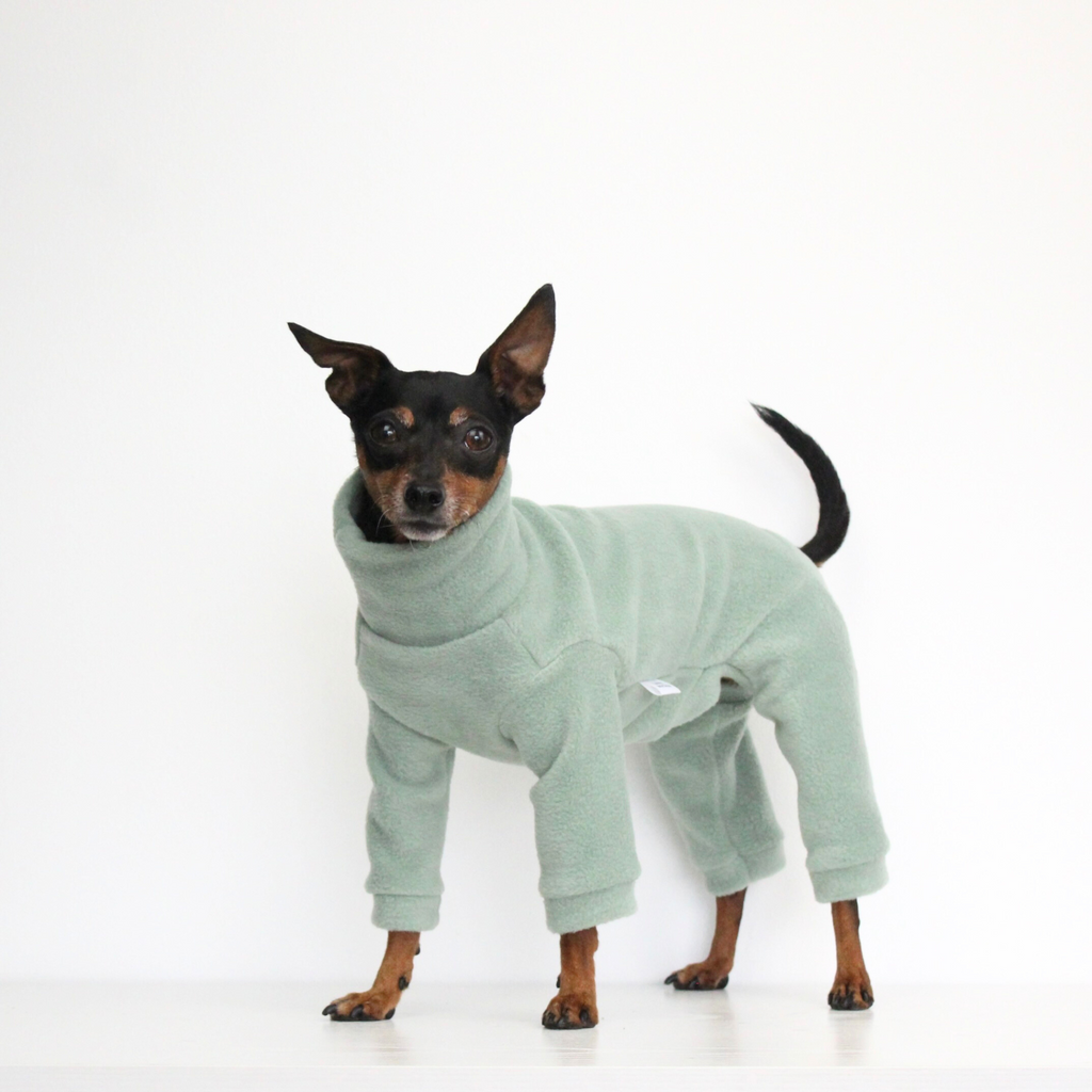 Miniature pinscher wearing a handmade light green aqua fleece jumpsuit onesie, custom-tailored pajamas overall from Lana Royals Pet Wear.