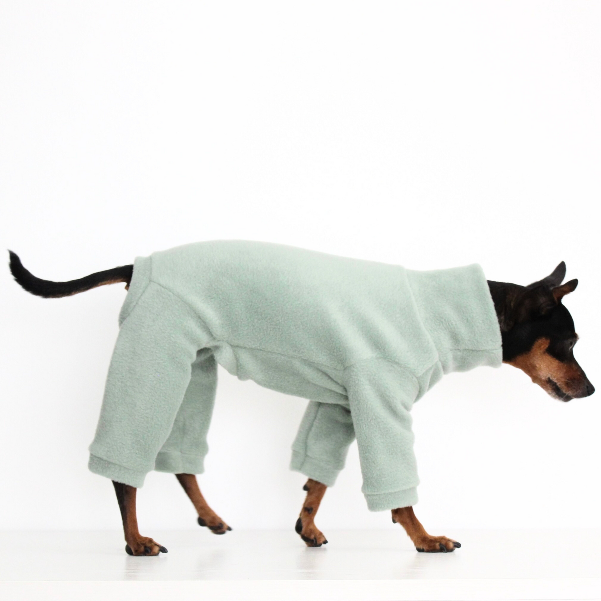 Miniature pinscher wearing a handmade light green aqua fleece jumpsuit onesie, custom-tailored pajamas overall from Lana Royals Pet Wear.