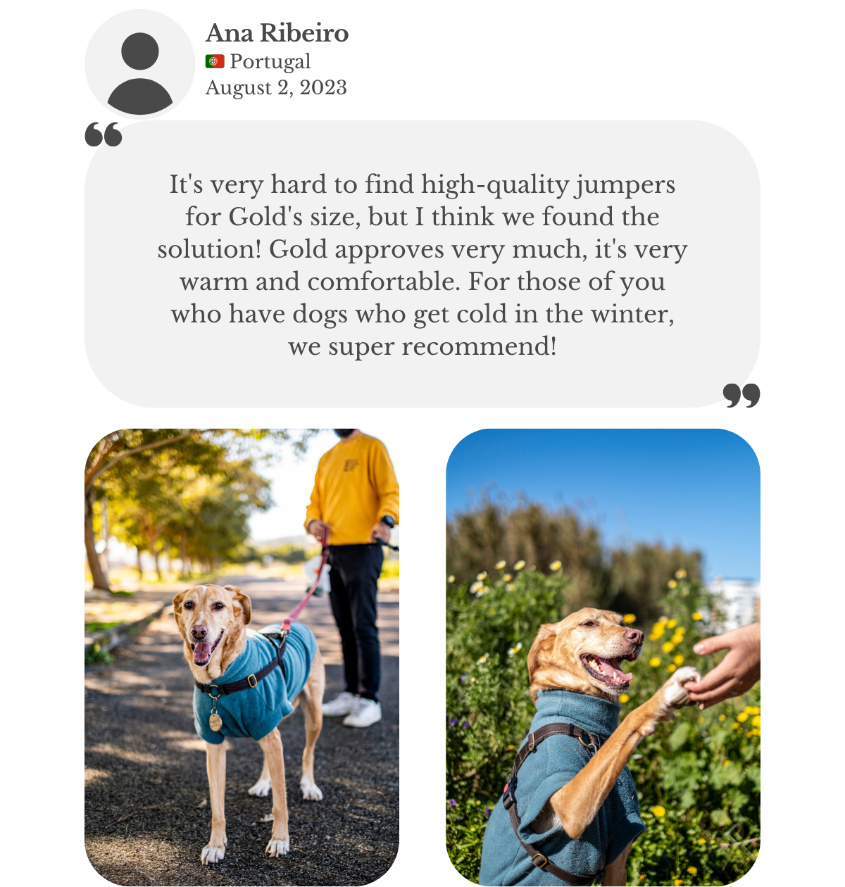 Customer testimonial from Ana: her Labrador mix wears a teal fleece vest from Lana Royals Pet Wear. She praises the high quality, warmth, and comfort, saying her dog approves and she highly recommends it.