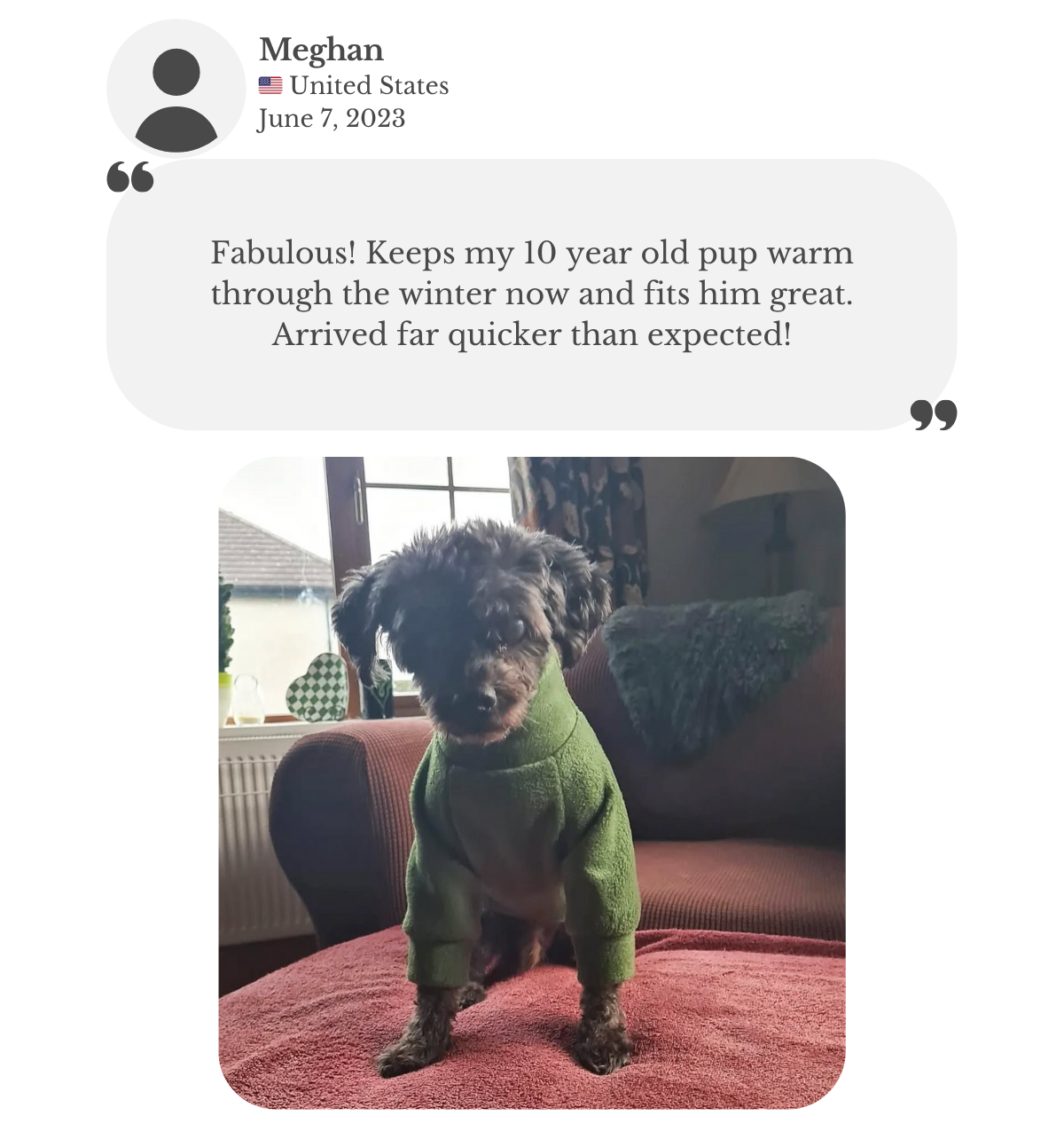 Senior poodle wearing pine green polar fleece jumper from Lana Royals Pet Wear. Customer fits it fabulous, fits great and keeps her 10 year old dog warm through the winter. Arrived quicker than expected.