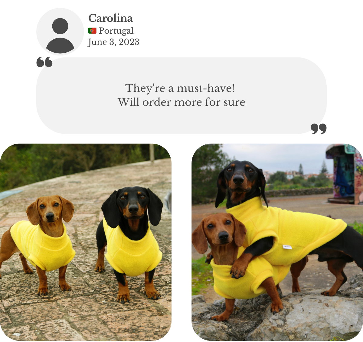 Two miniature dachshunds wearing custom canary yellow fleece vests from Lana Royals Pet Wear. Owner Carolina says they’re a must-have and she’ll order more for sure.