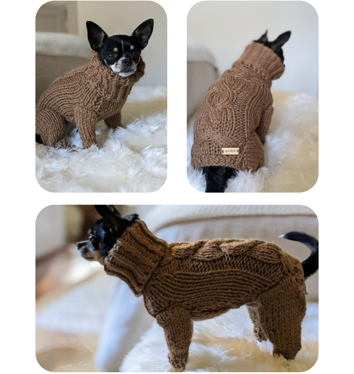 Chihuahua wearing a handmade, thick alpaca wool jumpsuit in almond brown, custom made to measure by Lana Royals Pet Wear.