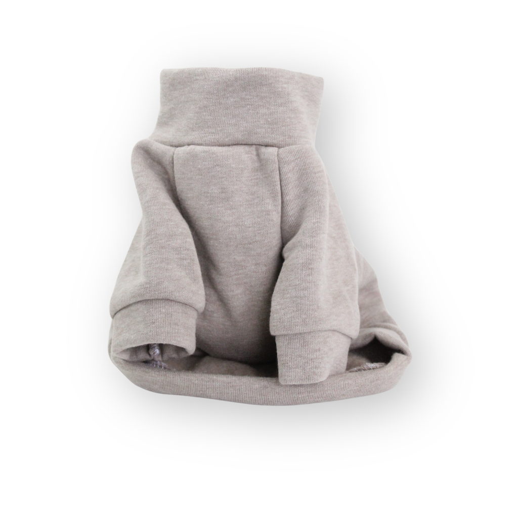 Beige cotton sweatshirt with raglan sleeves for small dogs from Lana Royals Pet Wear.