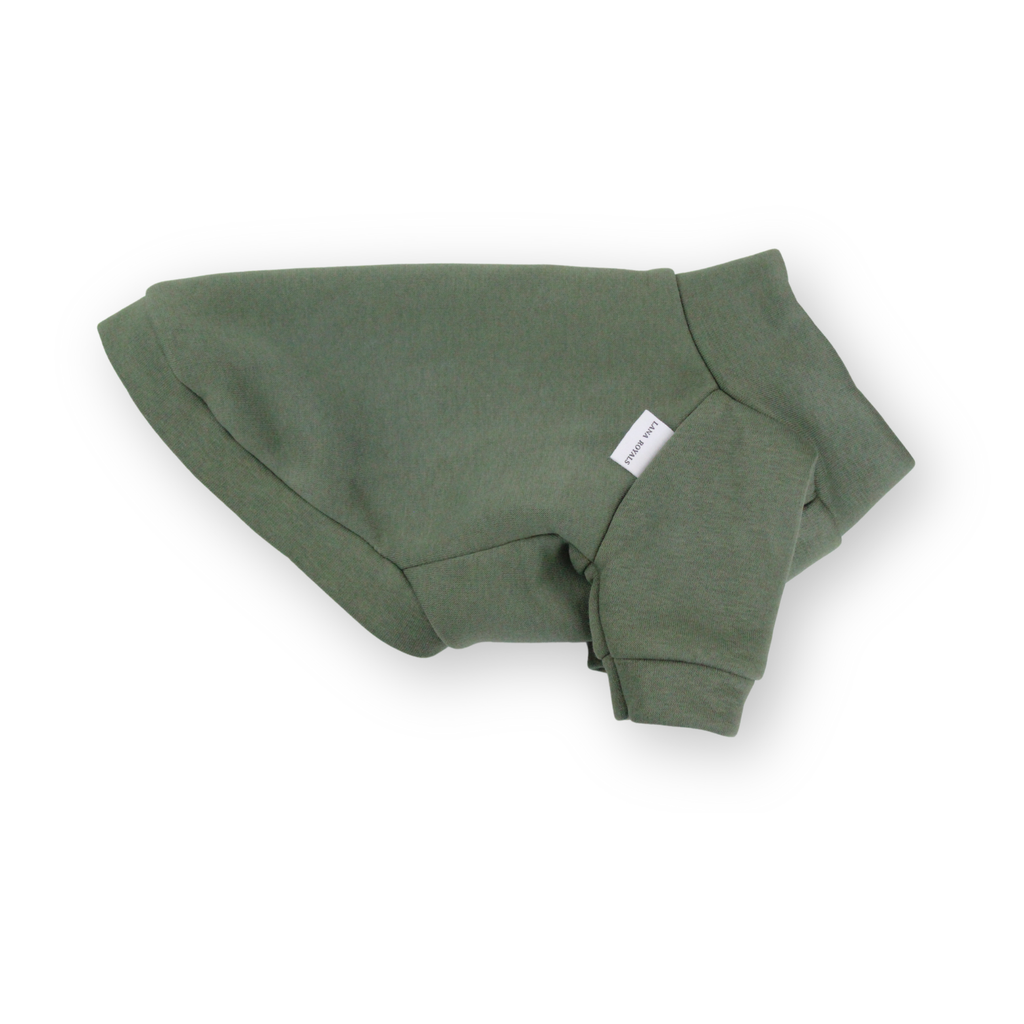 Olive green cotton sweatshirt with raglan sleeves for miniature dogs from Lana Royals Pet Wear.