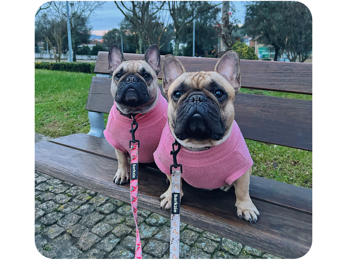 Two French Bulldogs Triss and Charlie wearing berry pink fleece jumpers handmade by Lana Royals Pet Wear, sitting on a wooden bench outdoors.