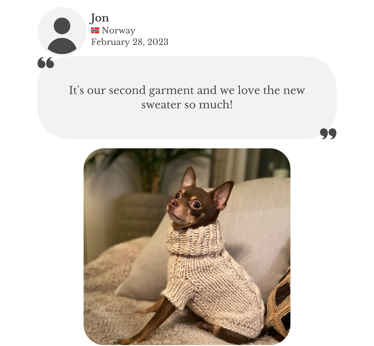 Customer testimonial from Jon: his Prague Ratter Chihuahua wearing a hand-knitted beige alpaca wool turtleneck sweater from Lana Royals Pet Wear. It’s their second garment, and they love the new sweater very much.