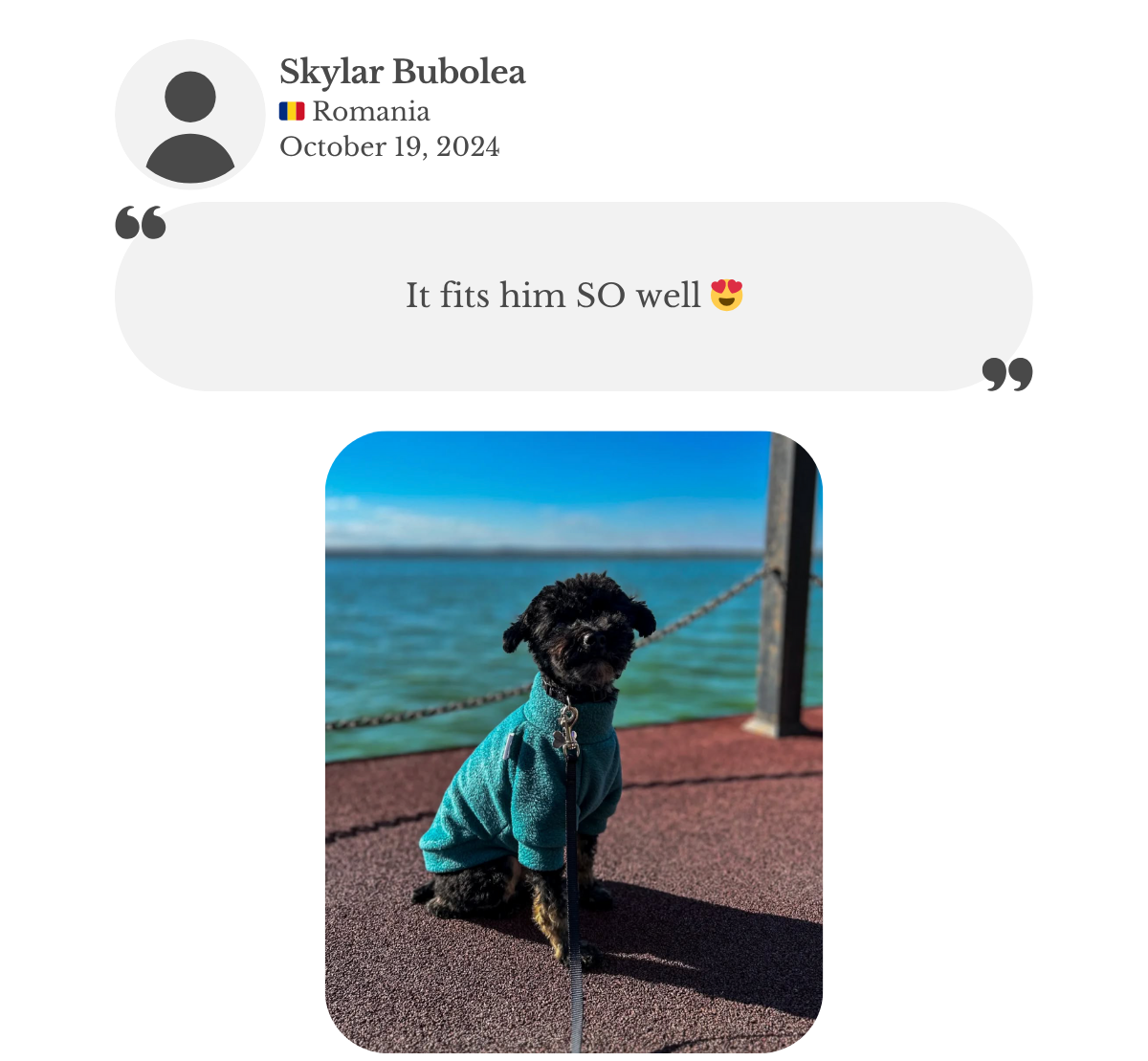 Miniature Toy Poodle wearing teal fleece jumper. Customer Skylar praising how well it fits her dog.