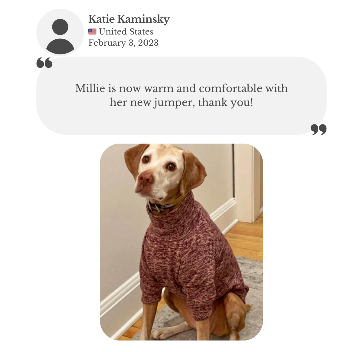 Senior vizsla wearing merle pink polar jumper from Lana Royals Pet Wear. Customer Katie saying her dog is now warm and comfortable.