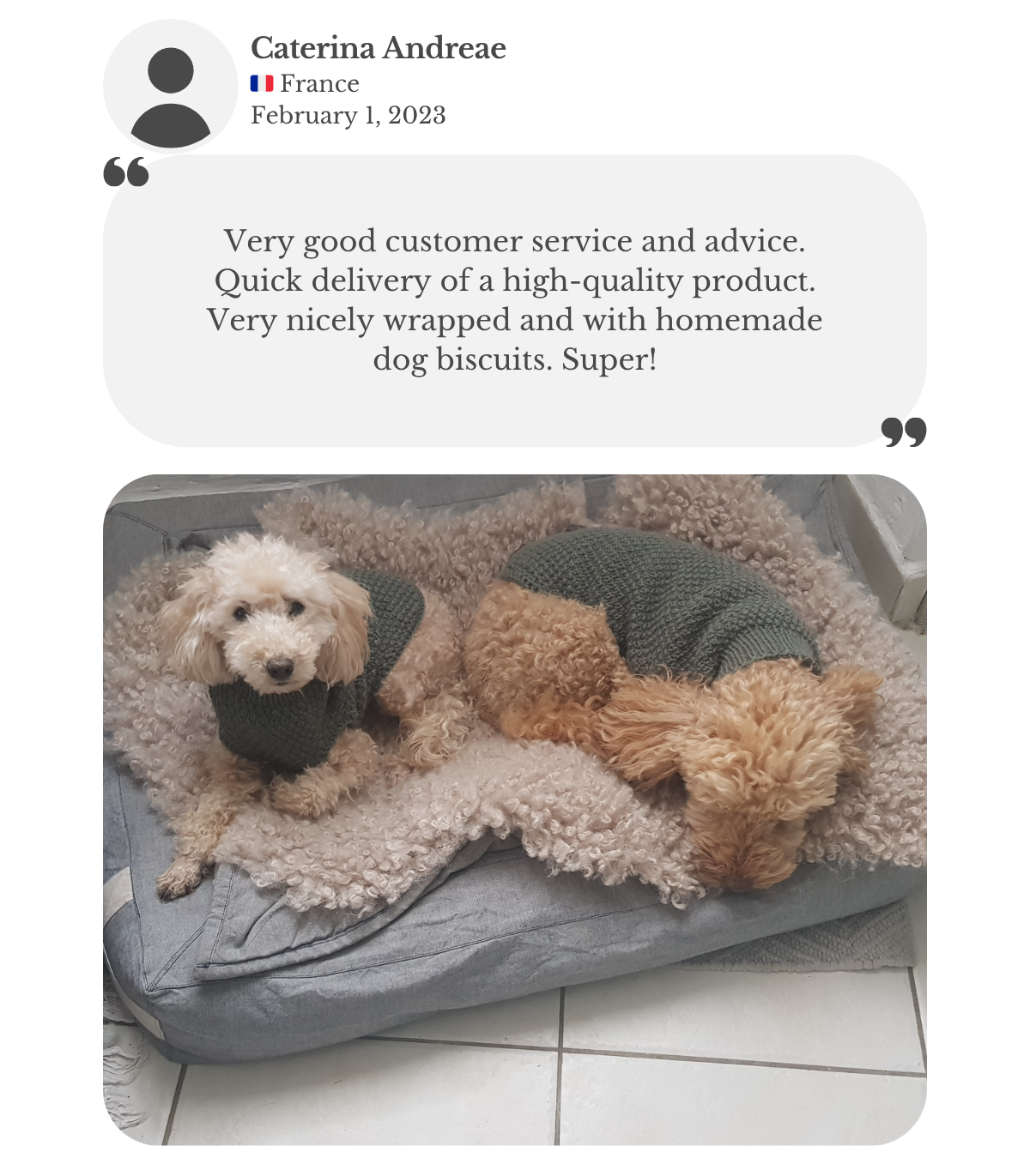 Two miniature poodles lying on their bed, wearing moss green hand-knitted alpaca wool sweaters from Lana Royals Pet Wear. Customer Caterina praises the excellent customer service and advice, quick delivery, high product quality, thoughtful wrapping, and added dog biscuits.