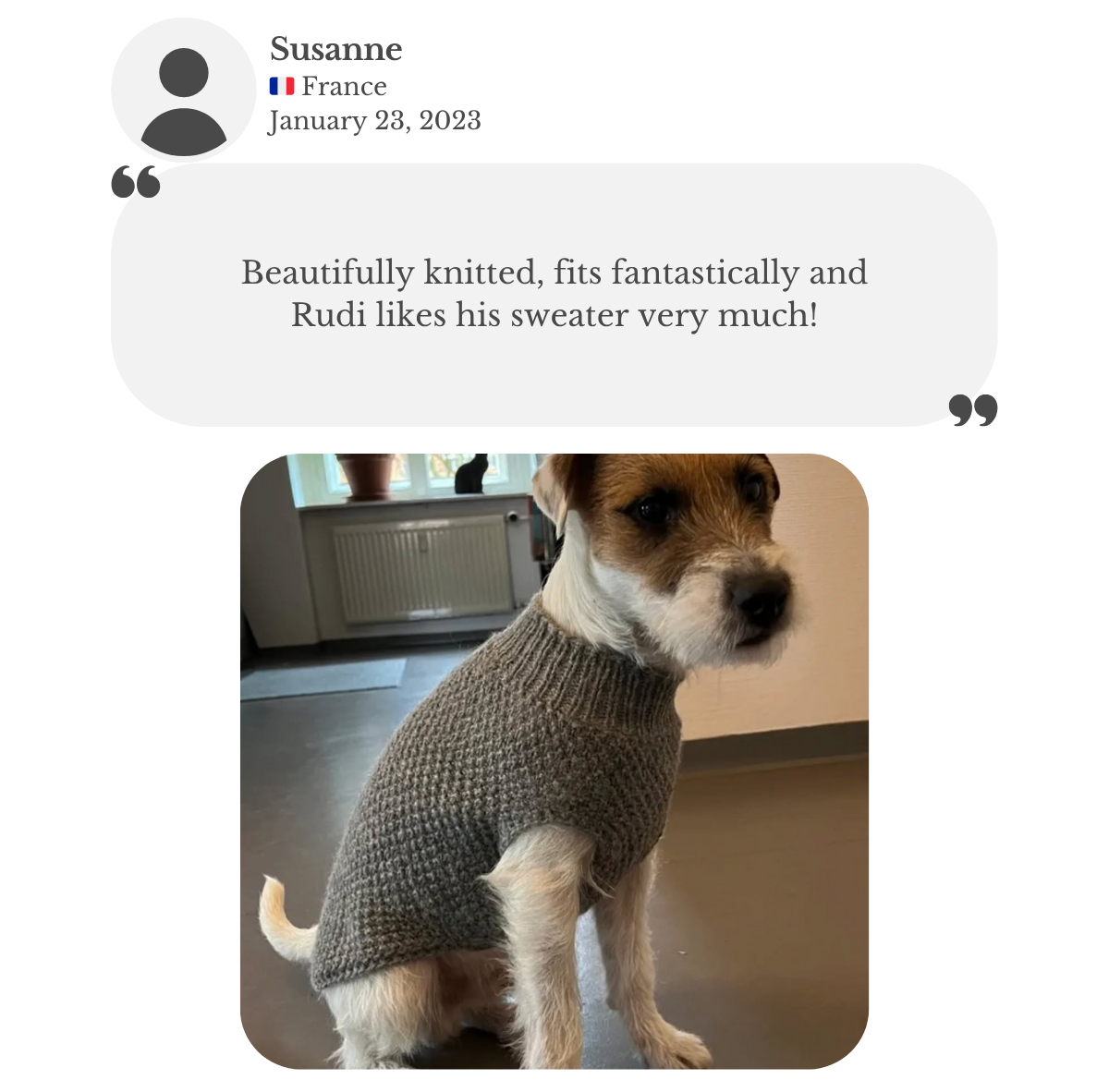 Wired fox terrier wearing hand-knitted alpaca wool sleeveless tank-top vest. Customer thanking for the beautifully knitted, fantastically fitted sweater.