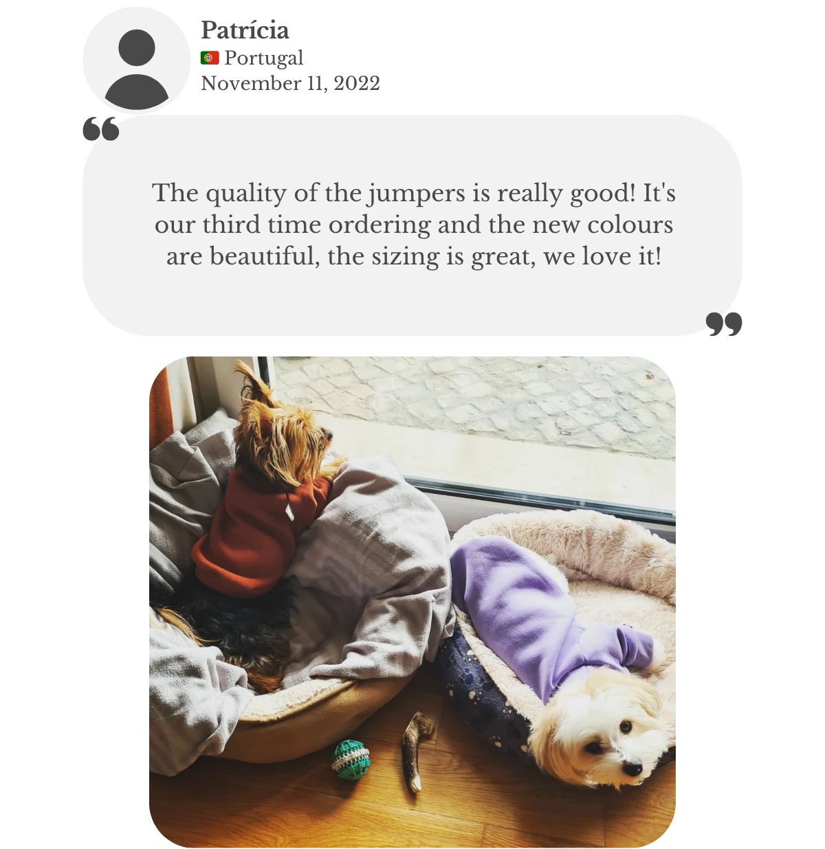 Yorkshire Terrier and Bichon Frise wearing terracotta and lilac cotton sweatshirt jumpers, while lying down on their beds by the window. Patricia is amazed with the quality of the jumpers. It's her third time ordering and she finds the sizing great and the new colors beautiful.