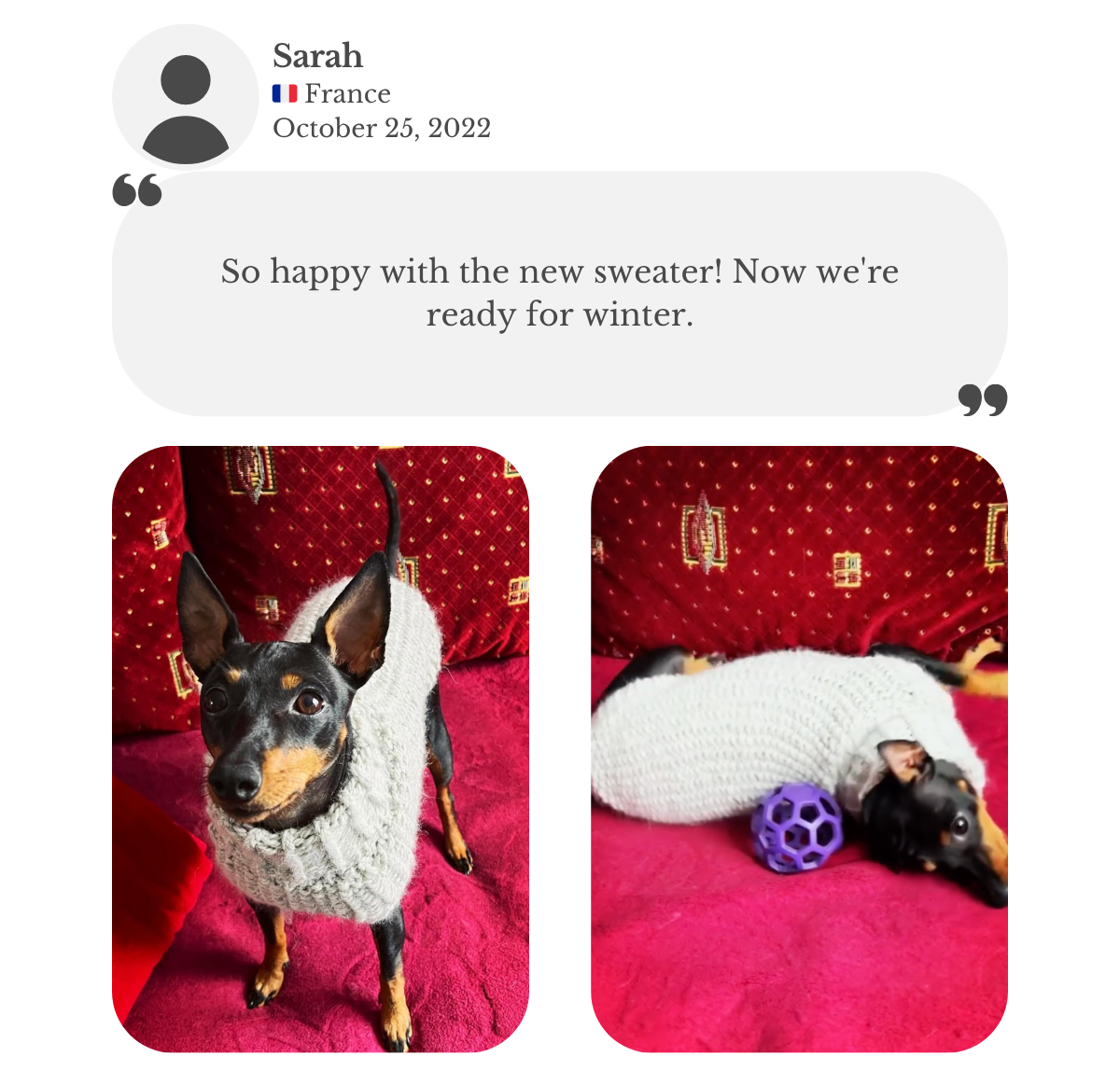 Manchester terrier wearing hand-knitted  grey alpaca wool turtleneck sweater