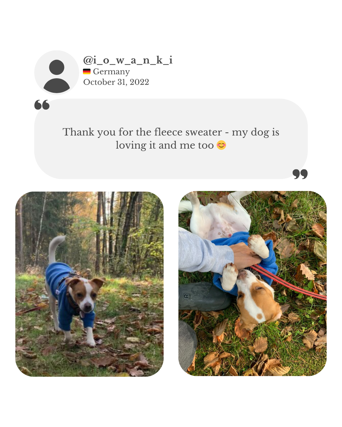 Customer testimonial about royal blue fleece jumper with raglans sleeves for a small terrier dog. Both dog and owner are content about their purchase.