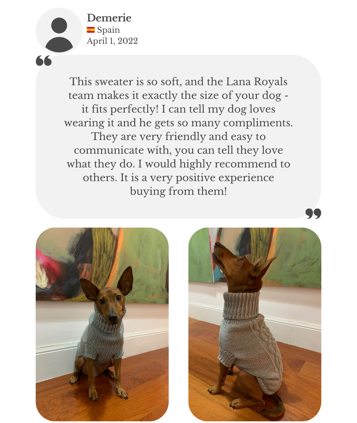 Customer testimonial from Demerie in Spain: her miniature pinscher wears a grey cotton–merino wool hand-knitted turtleneck sweater from Lana Royals Pet Wear. She praises the softness, perfect made-to-measure fit, and the friendly, communicative team. Highly recommended.