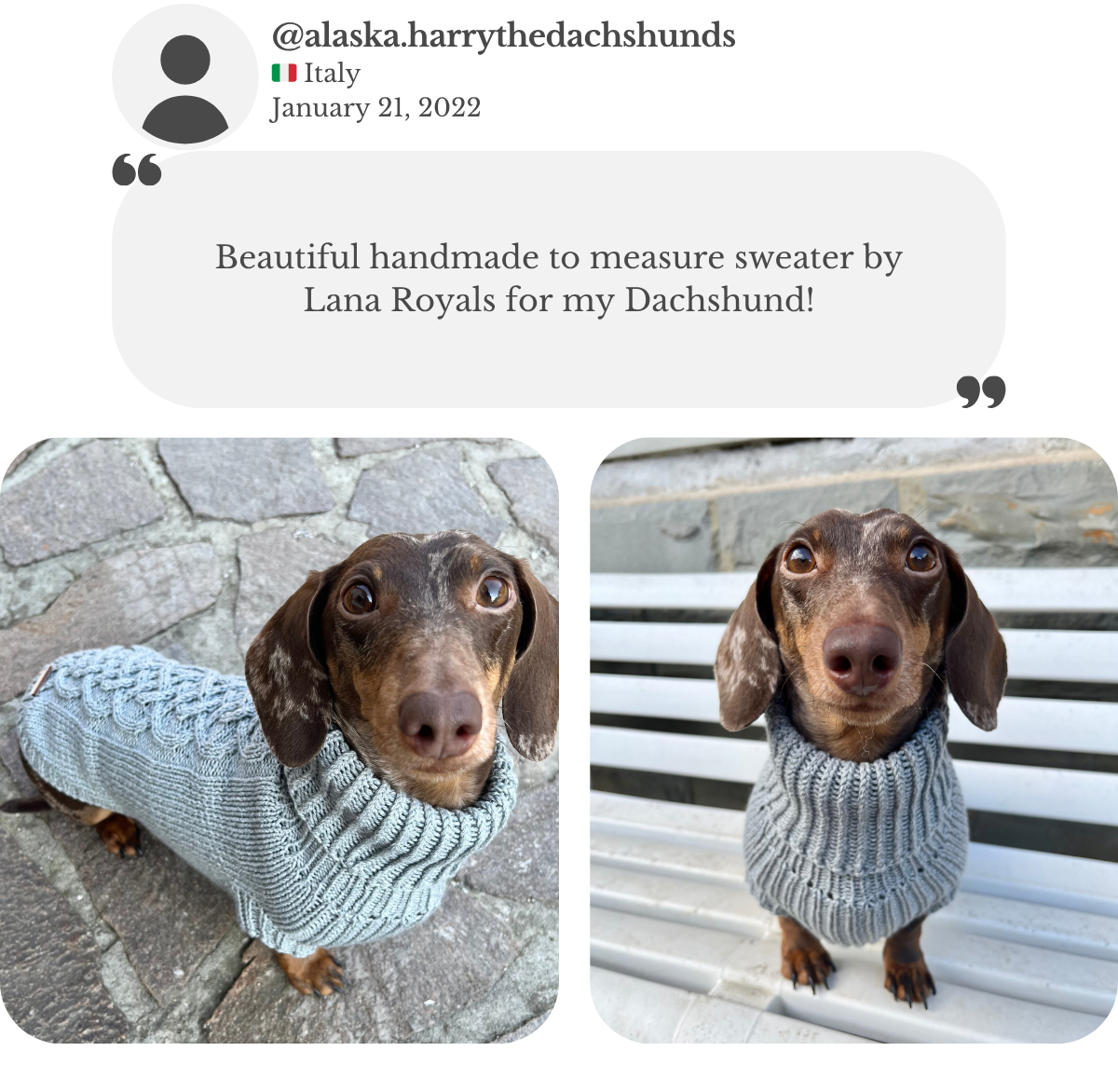Customer testimonial: miniature dachshund wearing a custom-made gray cotton–merino wool turtleneck sweater with an aran design from Lana Royals Pet Wear. Owner praises the beautiful handmade sweater.