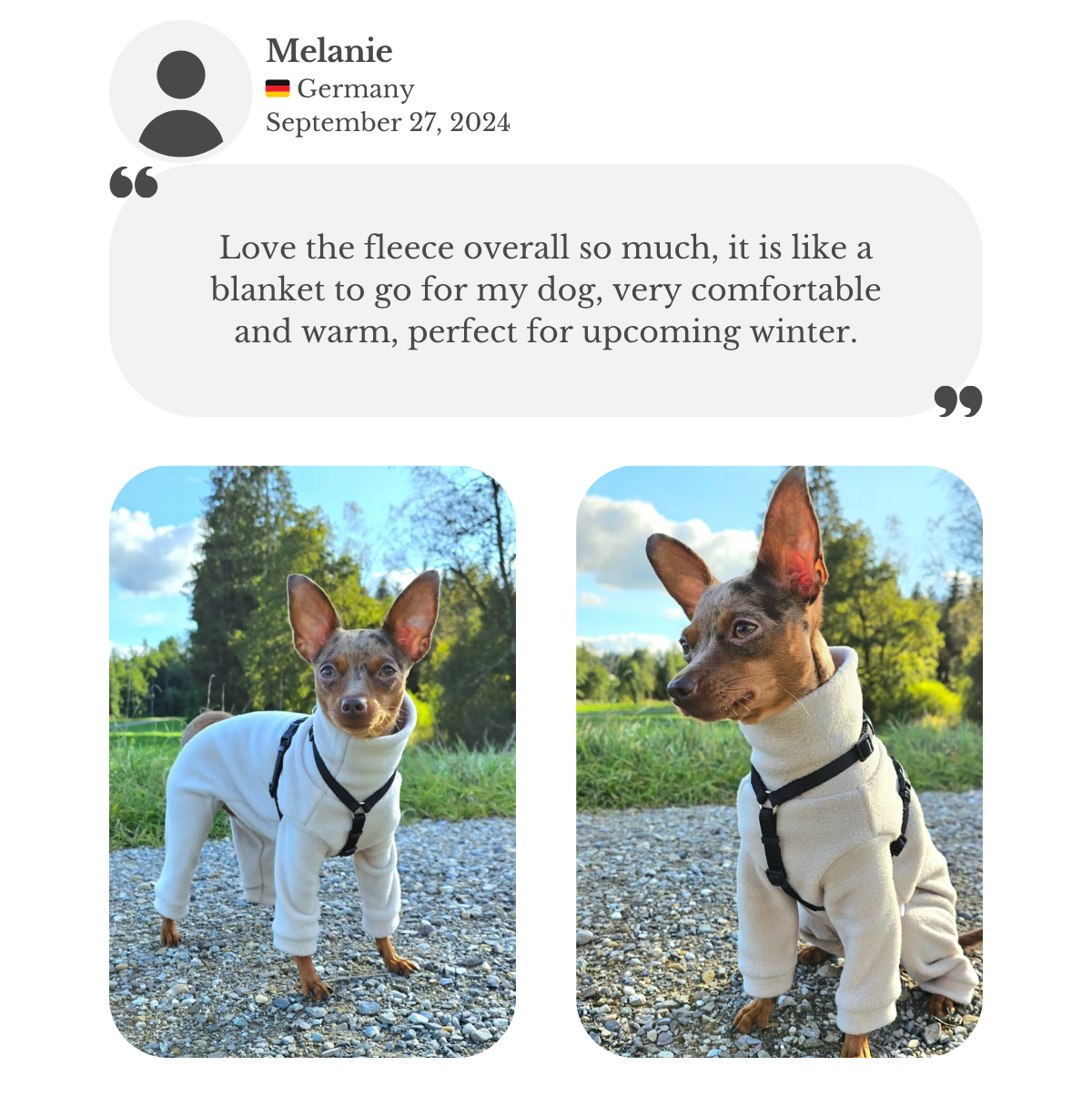 Customer testimonial from Melanie: her Prague Ratter wears a beige fleece jumpsuit from Lana Royals Pet Wear. She praises it as very comfortable, warm, and perfect like a ‘blanket to go’ for the upcoming winter.