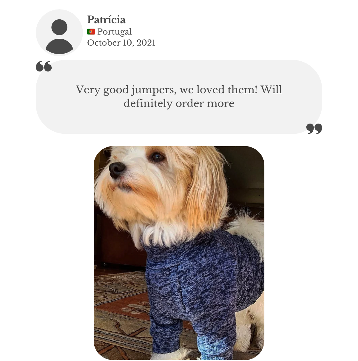 Maltese wearing a merle blue polar fleece jumper, custom made by Lana Royals Pet Wear. Patricia says these are very good jumpers, she loves them and will order more.