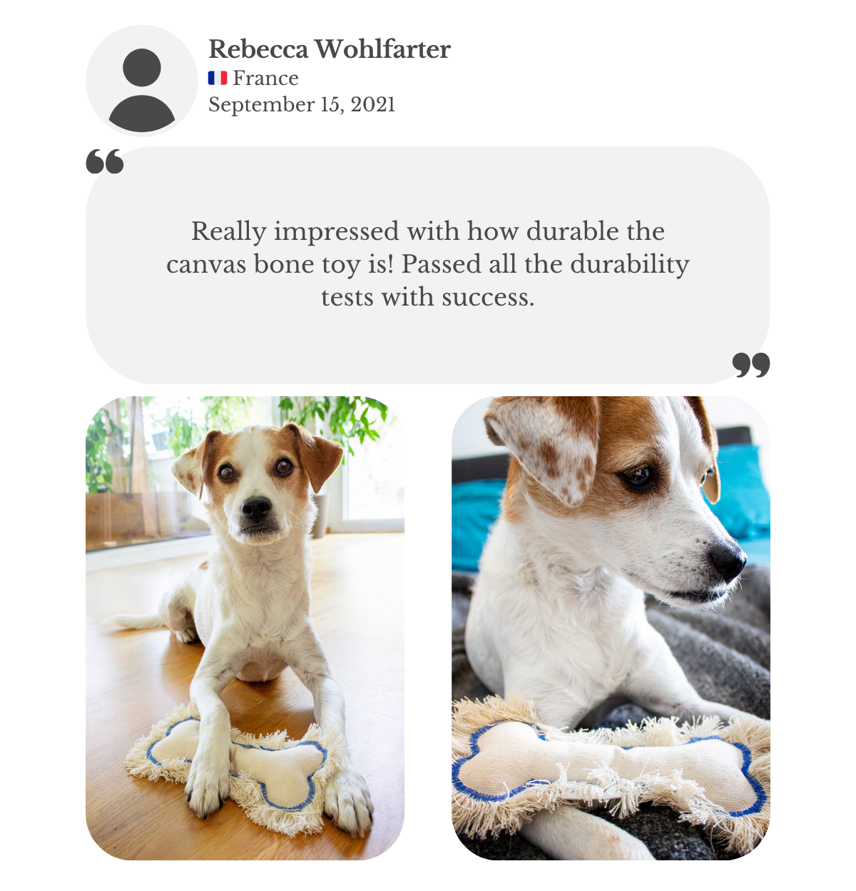 Customer testimonial from Rebecca: her terrier dog plays with a Lana Royals Pet Wear canvas bone toy, praised for its durability and having passed all durability tests successfully.