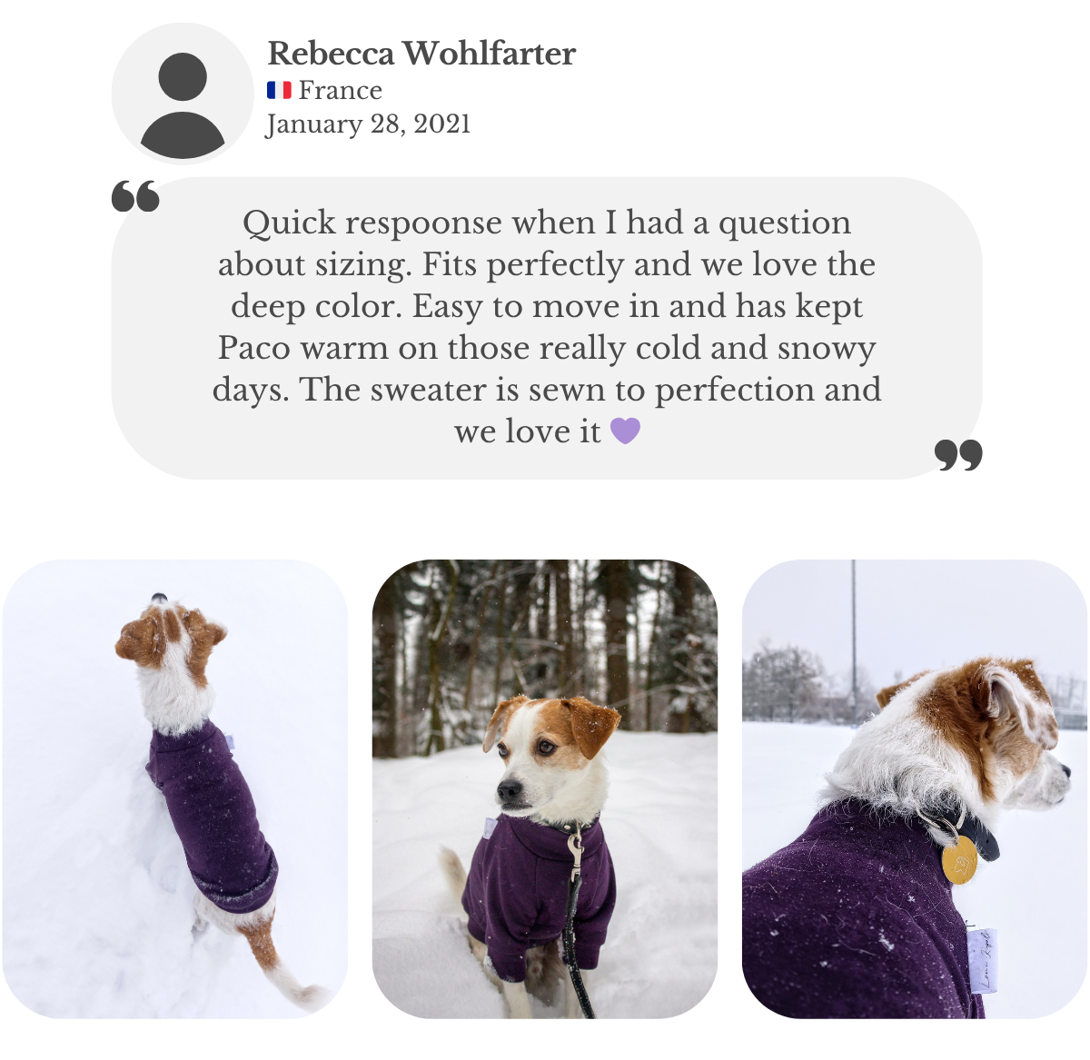 Photos of terrier dog wearing handmade cotton dark purple sweatshirt jumper. Customer remarks quick response on questions about sizing, perfect fit, perfect sewing and deep color, keeping her dog Paco warm on cold and snowy days.