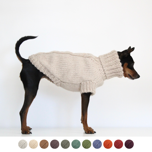 Miniature Pinscher Prague Ratter dog wearing handmade knitted thick alpaca wool turtleneck sweater. Custom-tailored to measure by Lana Royals Pet Wear for small dogs.