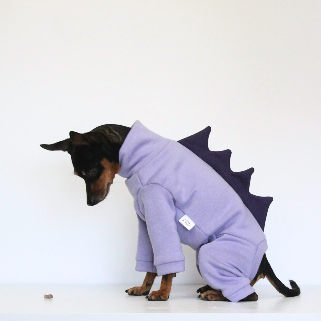 Miniature pinscher wearing a lilac cotton sweatshirt jumpsuit with purple dinosaur spikes costume add-on, custom-tailored to measure by Lana Royals Pet Wear.