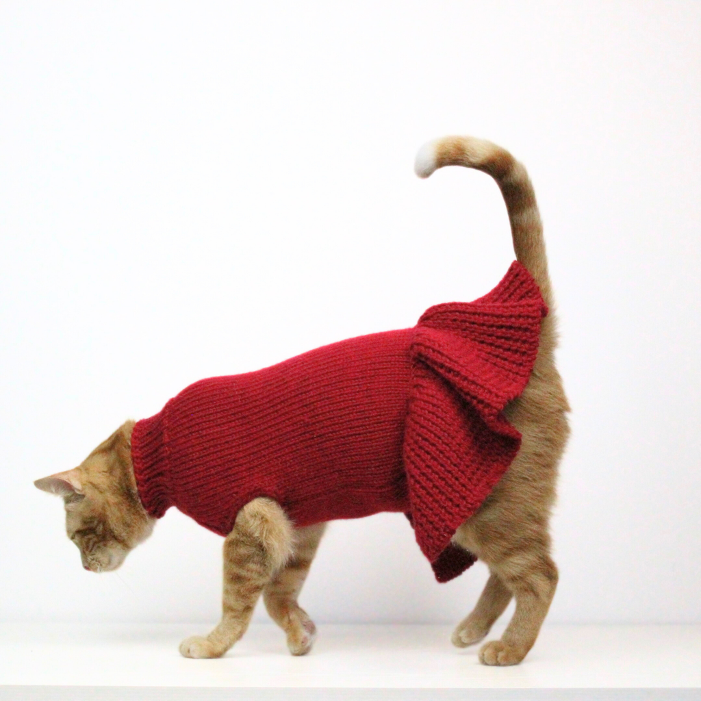 Ginger cat wearing a red hand-knitted alpaca wool sweater dress, custom-tailored to measure by Lana Royals Pet Wear.