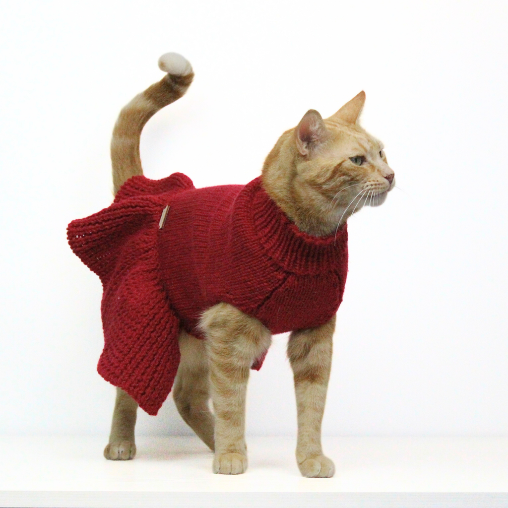 Ginger cat wearing a red hand-knitted alpaca wool sweater dress, custom-tailored to measure by Lana Royals Pet Wear.