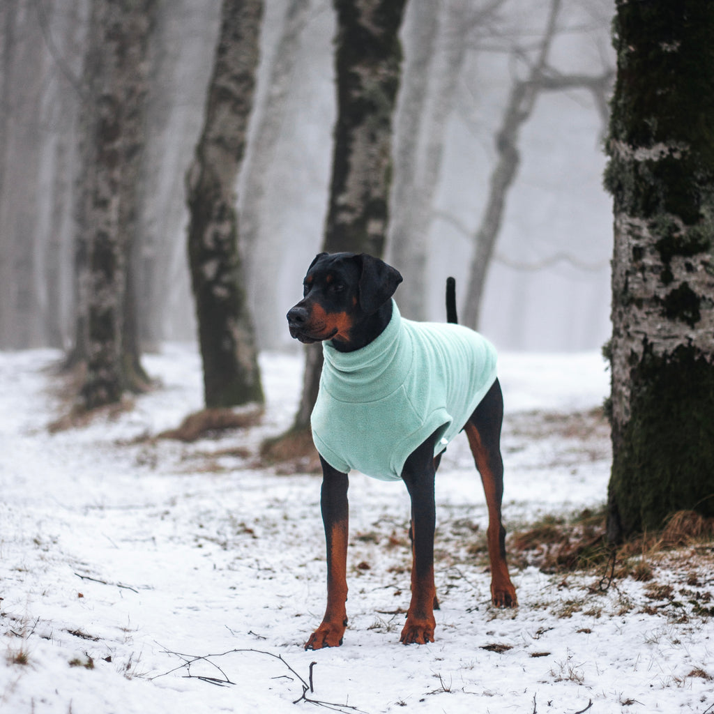 Dobermann wearing a handmade light green aqua fleece sweater standing in a snowy forest. Sleeveless vest featured is custom-tailored by Lana Royals Pet Wear.