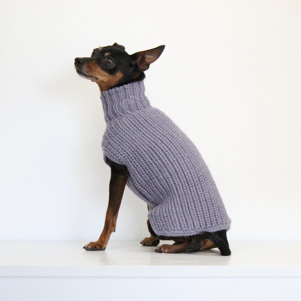 Small dog wearing a custom hand-knitted alpaca wool sweater 'MAYA' in grey lavender color, made to measure by Lana Royals Pet Wear.