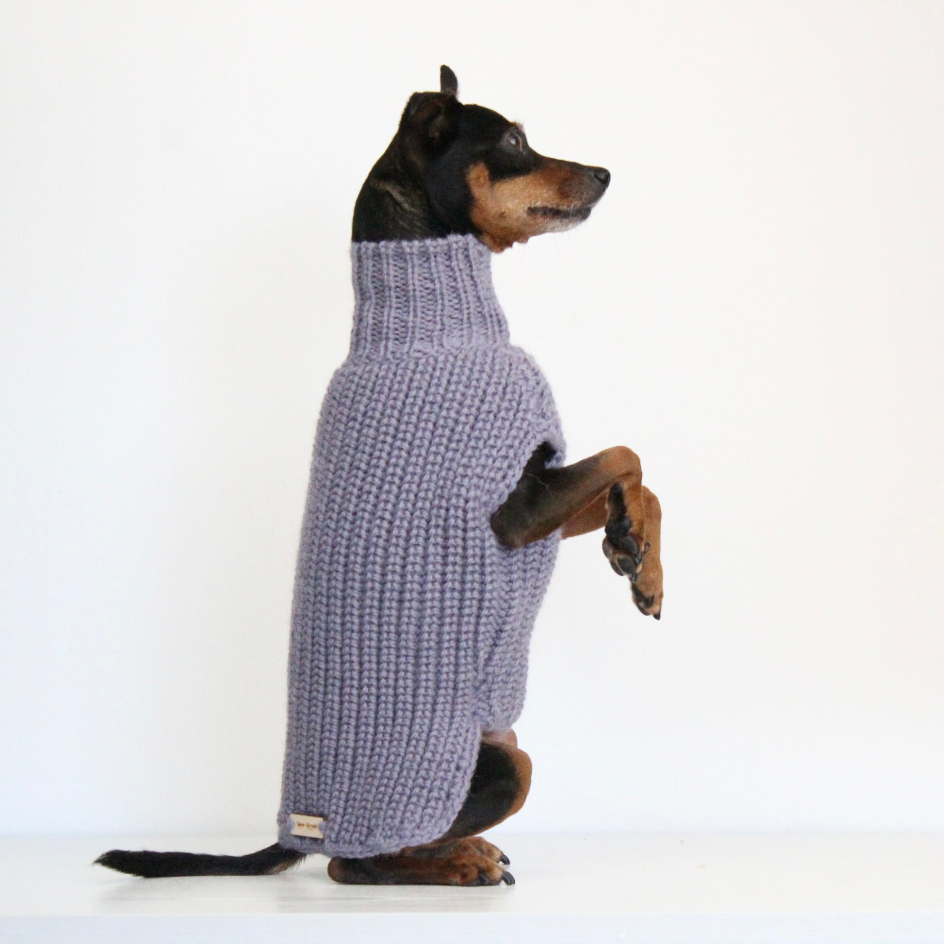 Small dog wearing a custom hand-knitted alpaca wool sweater 'MAYA' in grey lavender color, made to measure by Lana Royals Pet Wear.