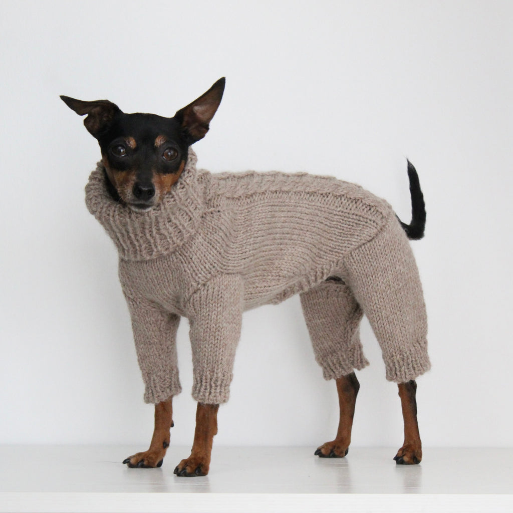 Miniature pinscher wearing a beige hand-knitted alpaca wool turtleneck sweater, custom-made to measure by Lana Royals Pet Wear.